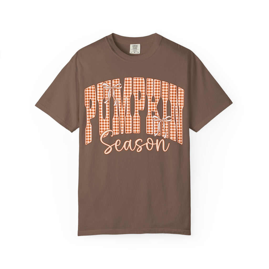 Pumpkin Season T-Shirt — Gingham Fall Graphic Tee